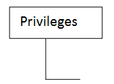 privileges